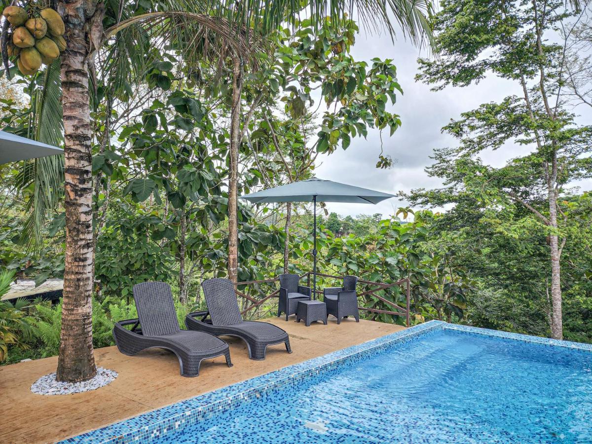 Hotel Madeira Boutique Doradal Eksteriør bilde